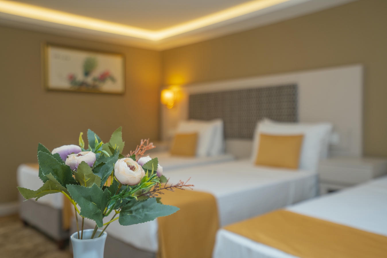 Holiday  in  Topkapı, İstanbul